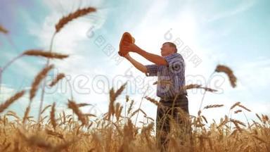 老农夫剪影面包师拿着一个金色的面包和面包在成熟的麦田里对抗蓝天的生活方式。缓慢的